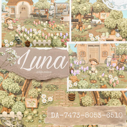 Lunas dream address is DA-7473-8053-6510